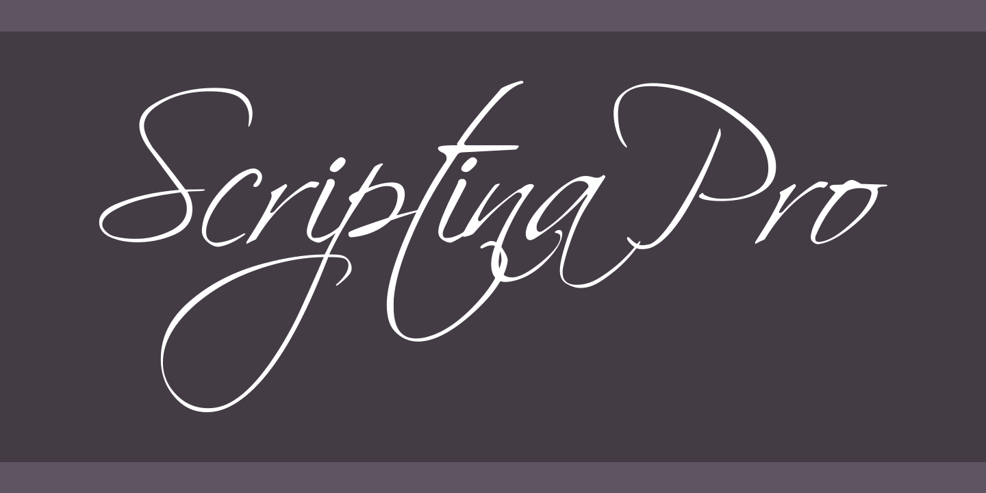 Пример шрифта Scriptina Pro
